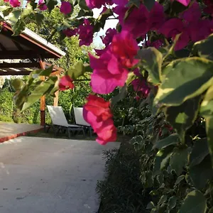  Hébergement de vacances Kalypso - Les Kikko Guadeloupe