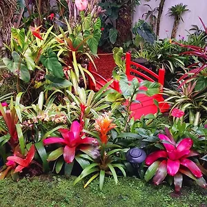 Privatunterkunft Anthurium Hale, Hilo